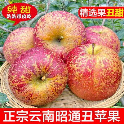 云南昭通丑苹果新鲜水果当季冰糖心萍果现摘红富士10斤整箱批包邮