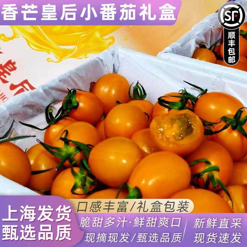 新货香芒皇后小番茄礼盒装新鲜水果黄皮圣女果芒果番茄纯甜西红柿