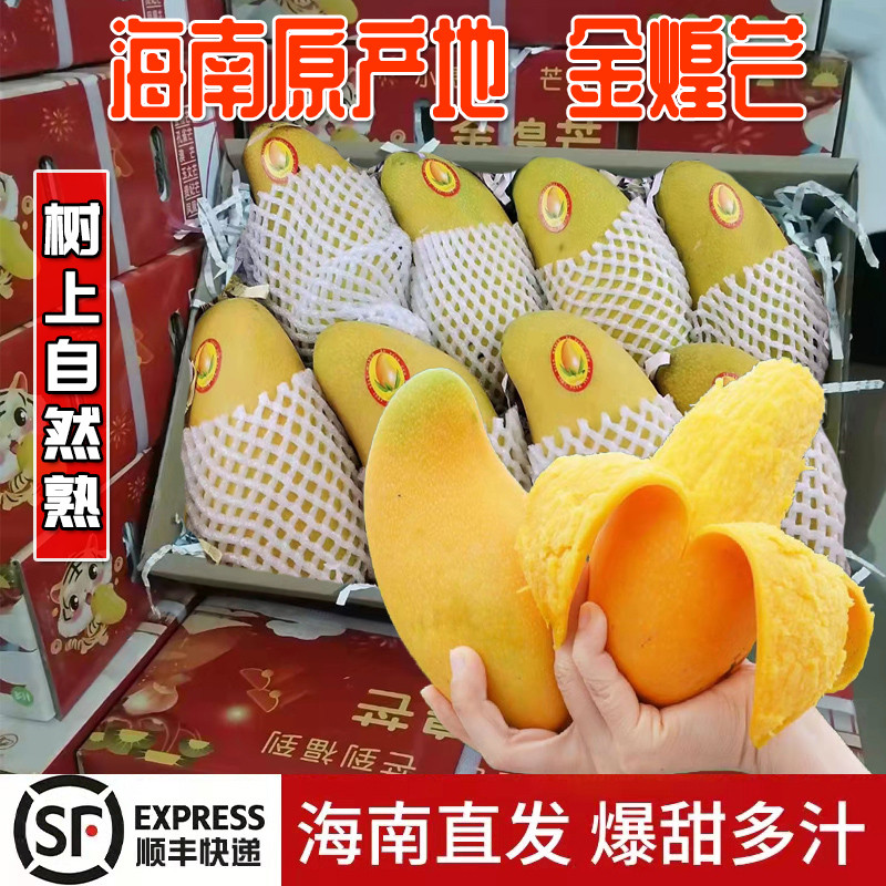 正宗海南特产树上熟金煌芒水仙芒孕妇新鲜水果顺丰精品象牙大芒果