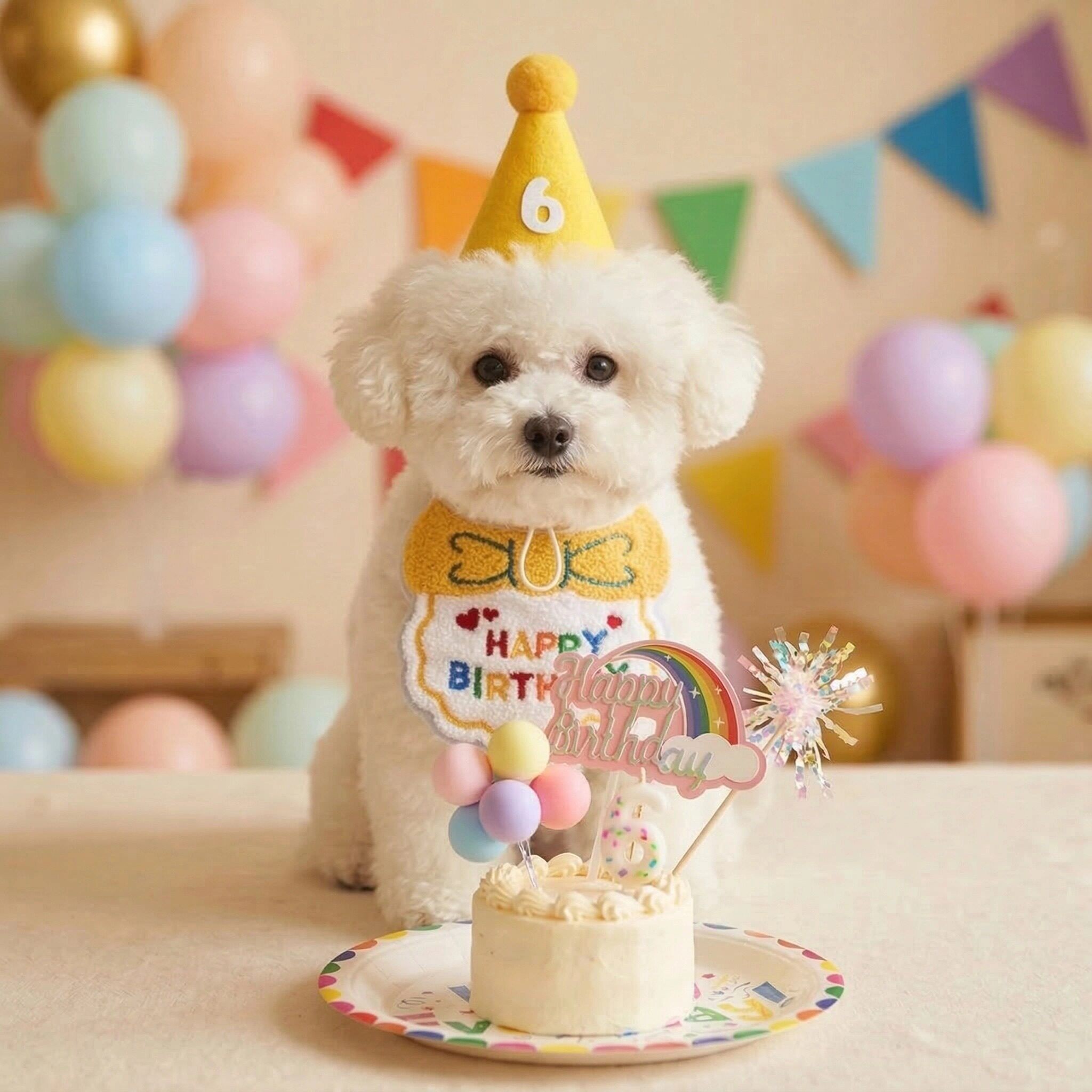 猫咪生日装扮拍照道具狗狗生日帽围嘴口水巾小猫围脖配饰宠物围兜