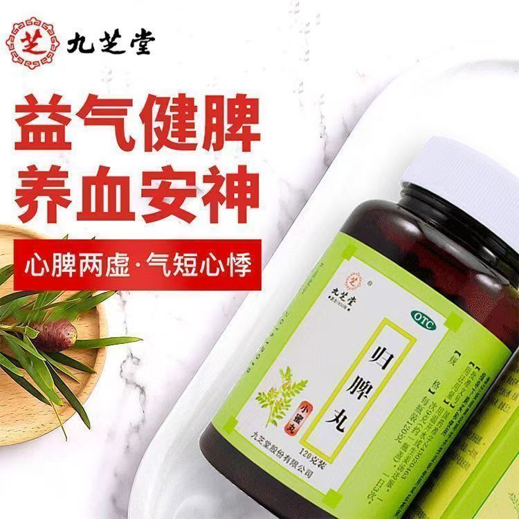 心脾两虚气短心悸 失眠多梦头昏头晕 食欲不振 九芝堂归脾丸120g