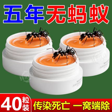 蚂蚁药家用全窝端室内非无毒室内杀强力驱防除黑红火蚁饵剂呋虫胺