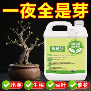 植物催芽剂老桩发芽生物肥生根壮苗月季三角梅发财树通用水溶肥料