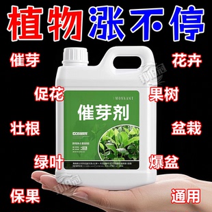大桶催芽剂老桩发芽生物肥生根壮苗月季三角梅发财树通用水溶肥料
