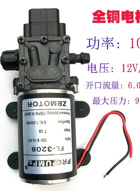 厂促100We12伏水泵48V直流隔膜泵自动启停增压24V洗车家用自吸32