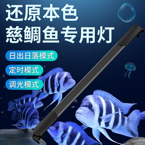 三湖慈鲷灯日出日落慈鲷蓝白灯鱼缸led灯防水水族灯慈鲷专用灯
