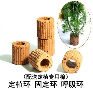 水草固定神器水草沉底环水草定植器水草定植环水草固定底座净水