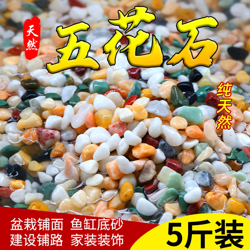 天然彩石鱼缸专用铺底砂多肉盆栽铺面石子五彩石头雨花石造景摆件