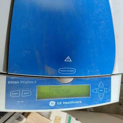 通用GE Ettan IPGphor3 双向电泳仪~询价