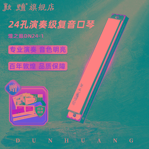 敦煌24孔复音口琴正初学入门专业演奏练习初学专业乐器DN24-1