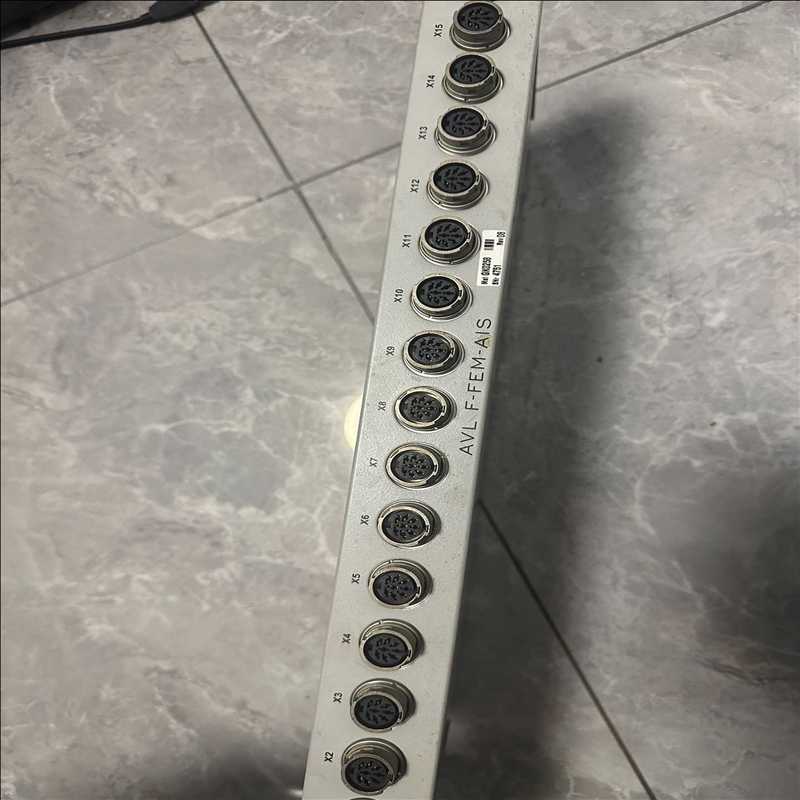 AVL F-FEM-AIS 2  6260.33（耶耶电子）