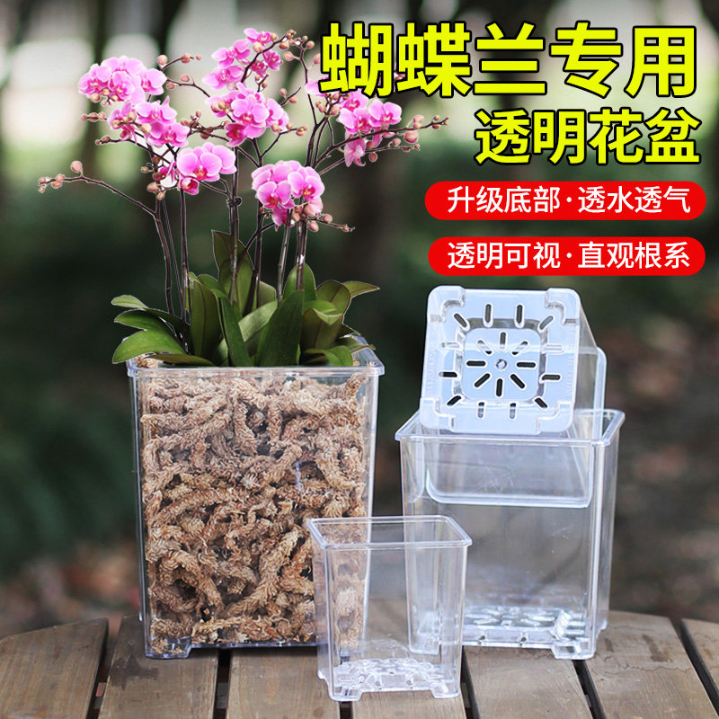 亚克力玻璃方形透明花盆塑料种植盆向日葵蝴蝶兰专用花盆家用