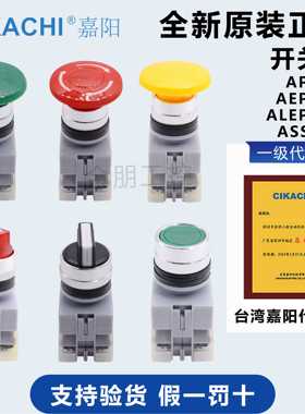原装一级代理CIKACHI嘉阳APB/AEPB/ALEPB-22、ASS-223开关