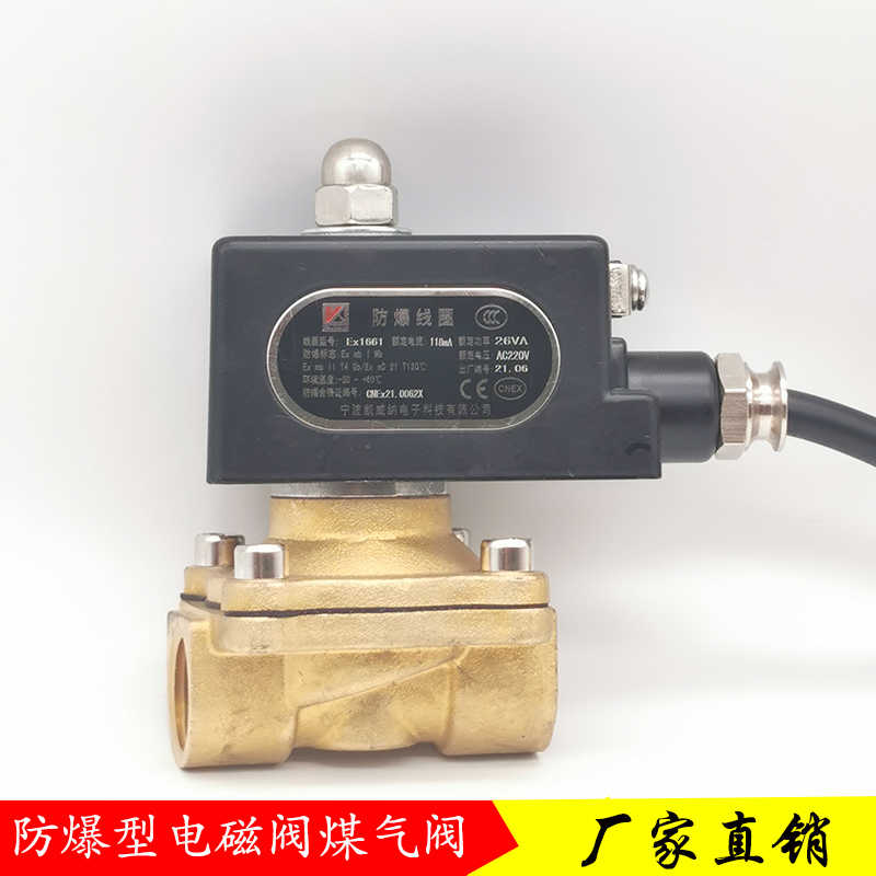 防爆电磁阀水阀2W-160-15全铜阀体4分 天燃气煤气阀不锈钢电