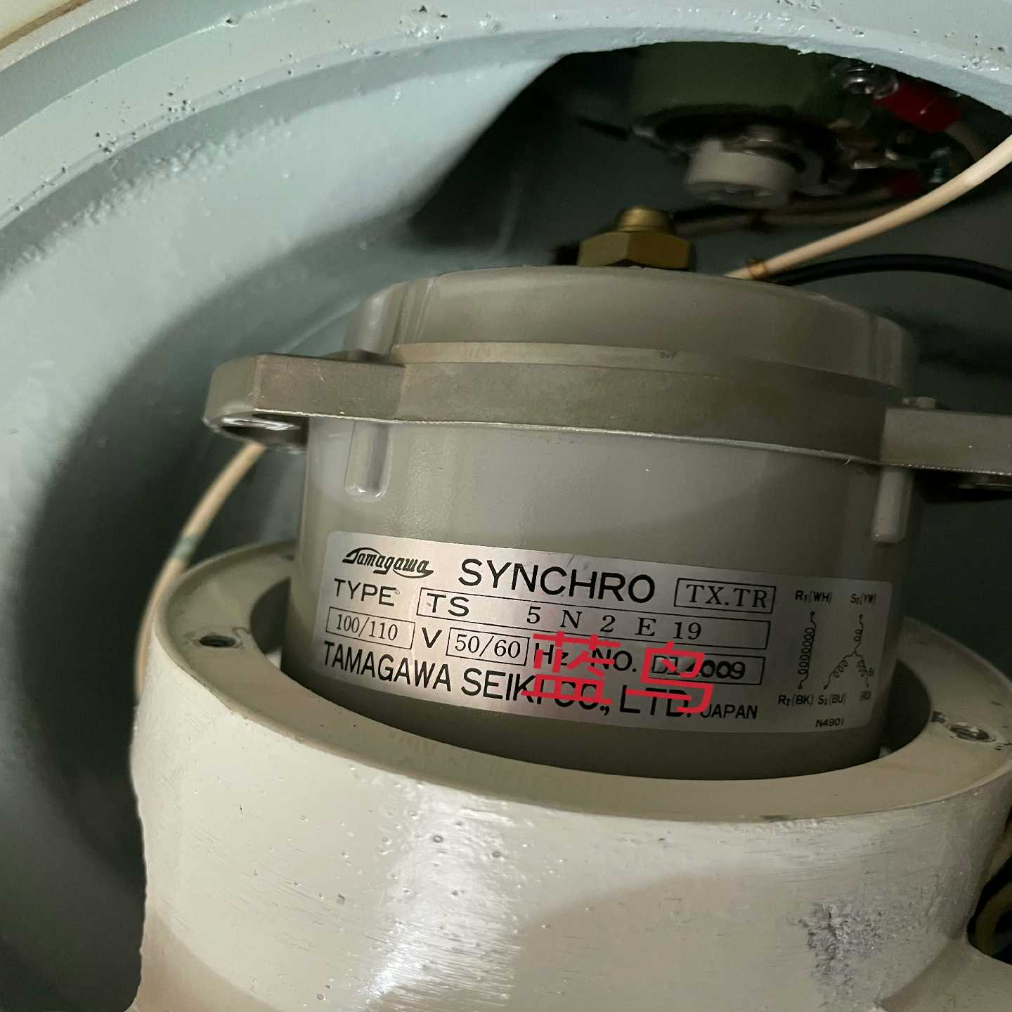询价~TS5N2E19 100/100V