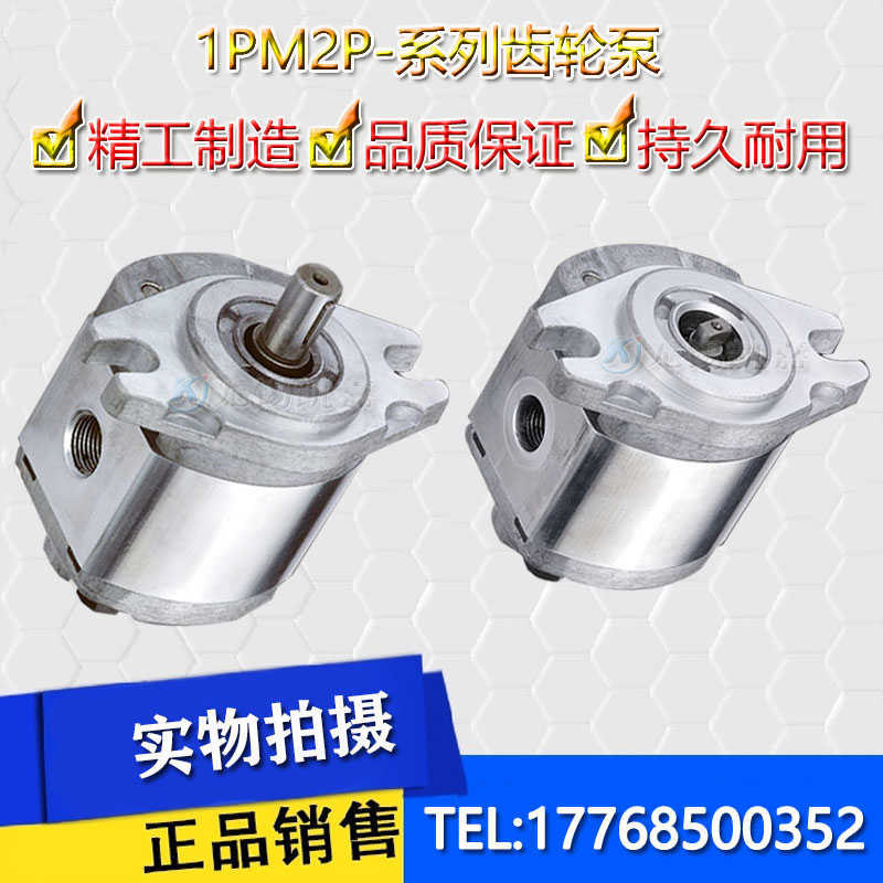 1PM2P06R 1PM2P02R 1PM2P03R 04R 05R 01R 08R 1PM2P液压齿轮