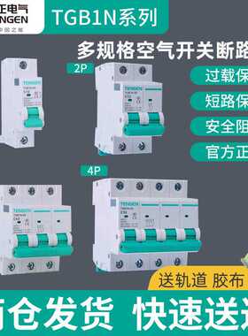天正电气TGB1N空气开关16A32A断路器1P2P家用3P20A63A4P空开DZ