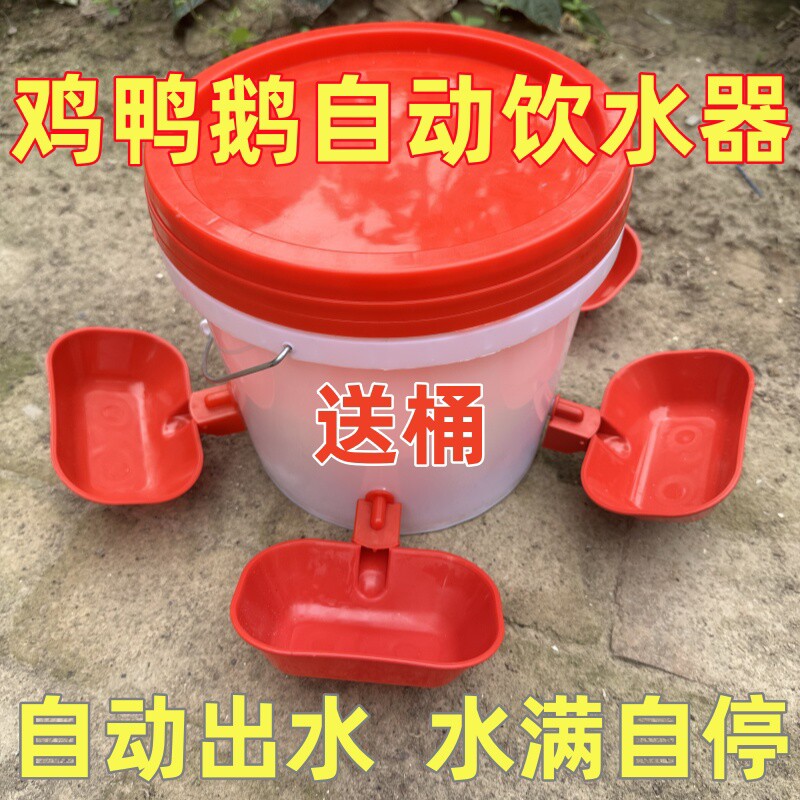 鸡用自动饮水器小鸡喝水家禽鸡鸭鹅喂食槽鸭子饮水槽养鸡喂鸡
