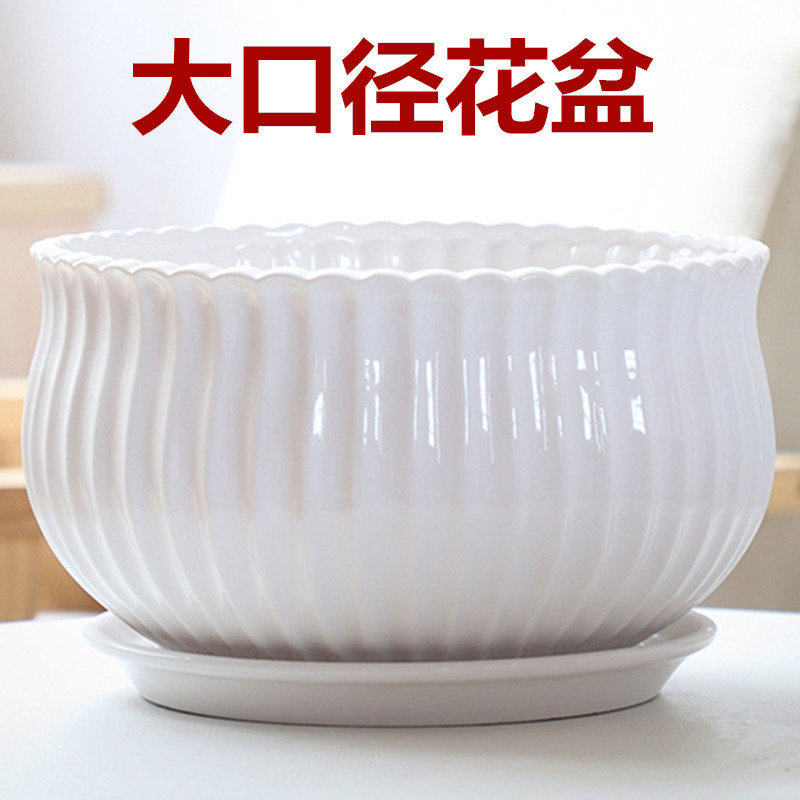 花盆陶瓷特价大号特大清仓托盘绿萝简约蝴蝶兰家用种菜大多肉
