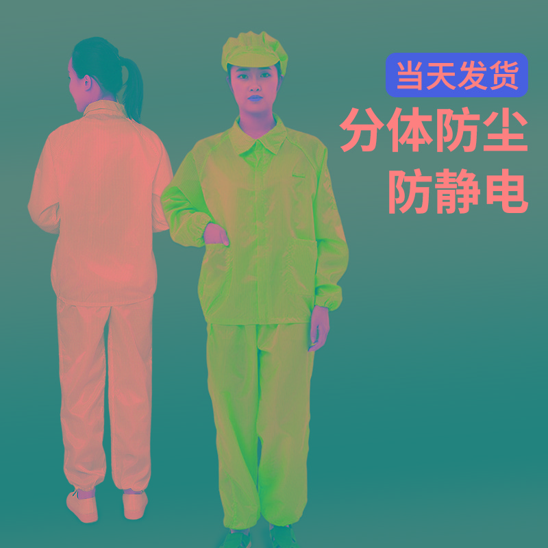 尘服分体套装防静电工作服男女防尘洁净上衣加裤子白蓝防护