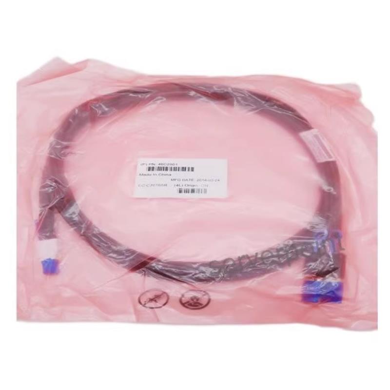 **IBM 46C2901 46C2902 适用于 FC 5509/ECBZ (3) Y cale SA*