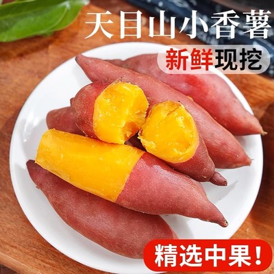 临安天目山小香薯正宗板栗红薯新鲜农家自种小番薯地瓜蜜薯3/5斤
