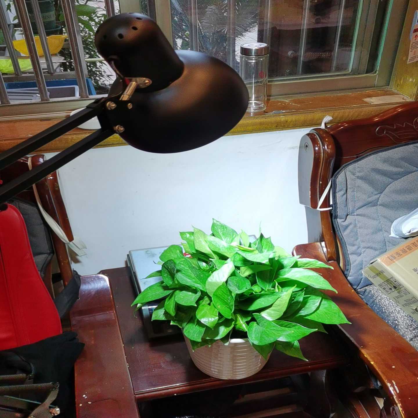 议价全新动植物生长 金卤灯落地台灯  70W 6000K超白光