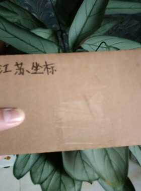 Votech 滤芯 DuoTov-90-736 ， DuoT（夫美商行）