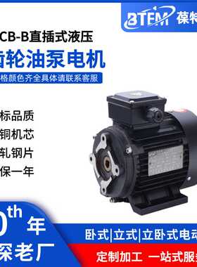 三相异步电机齿轮油泵CB-B/HGP1A/TOP/BB16国标380V纯铜马达