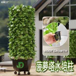 水雾机器立柱水培设备家庭温室大棚蔬菜水耕种植阳台种菜无土栽培