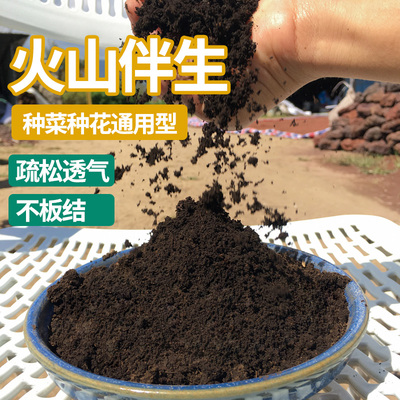 云南腐叶土松针腐殖营养土100升包邮绿植多肉花卉种菜种植培养土