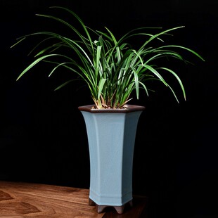 哥窑兰花花盆陶瓷紫砂六边形高款新中式家用室内吊兰蝴蝶兰专用盆