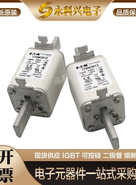 全新巴斯曼快速熔断器170M3417/3418/3419/3420/3421/3422/3423