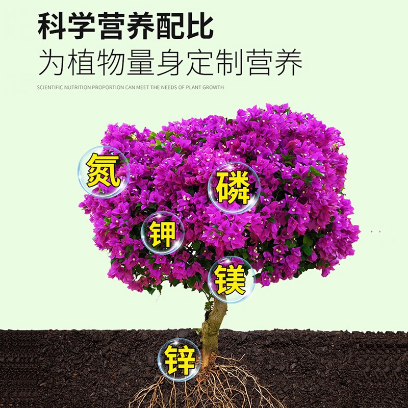 营养液三角梅专用肥花卉肥料促开花绿叶盆栽通用液体肥绿植花肥料