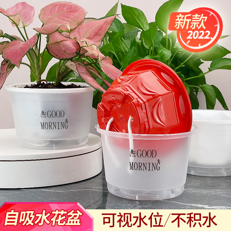 懒人自动吸水绿萝花盆专用2021新款塑料免浇水培白色大号绿箩盆器