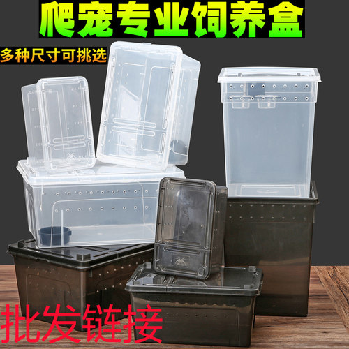 爬虫箱饲养盒饲养箱守宫睫角蜘蛛角蛙昆虫龟玩家蛇防逃逸饲养盒