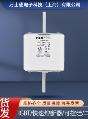 巴斯曼170M6080170M6081170M6082170M6083170M6084608560866087