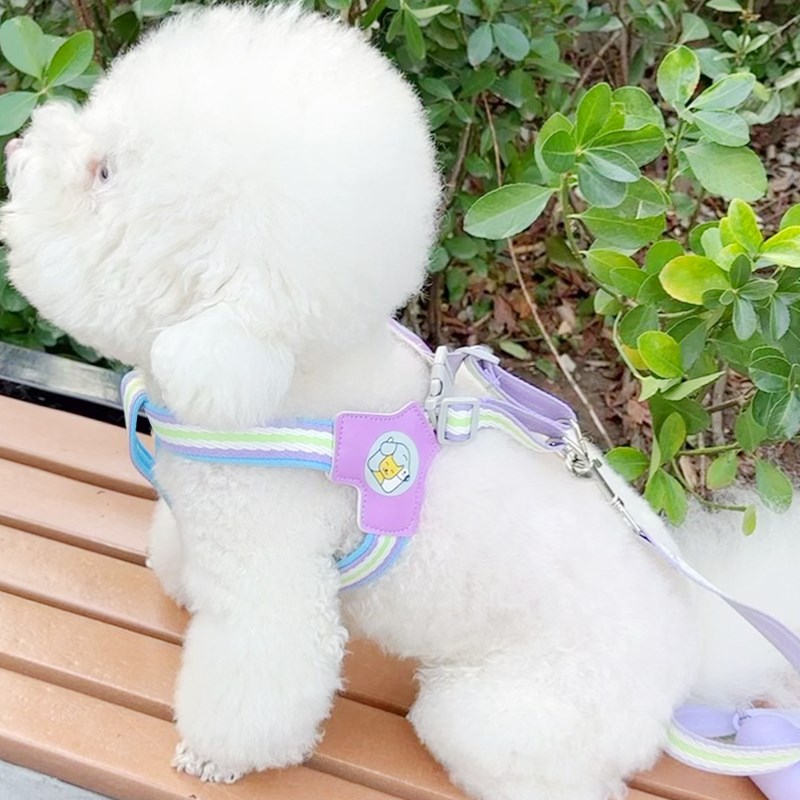 狗狗牵引绳背心式宠物胸背带遛狗绳中小型柴犬比熊泰迪博美狗链子