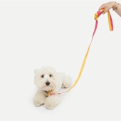 狗狗防水牵引绳中大型犬法斗泰迪柯基通用牵绳