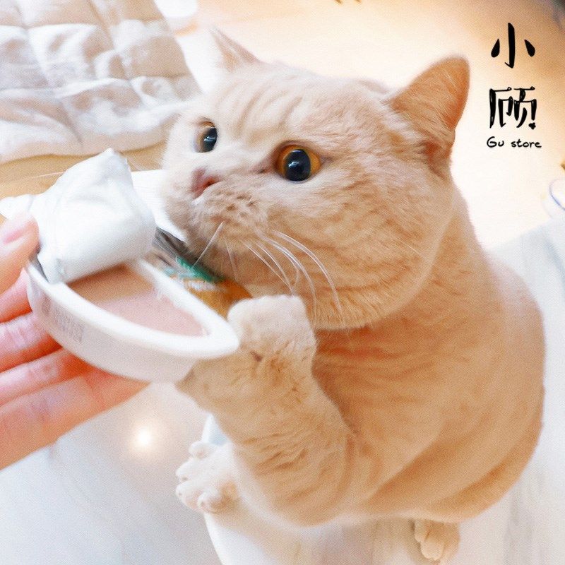 帕特掰掰乐811生骨肉主食餐盒成幼猫主食罐一分为二猫咪湿粮70g,宠物/宠物食品及用品,猫全价湿粮/主食罐,淘宝优惠券,粉丝福利购,淘宝优惠卷