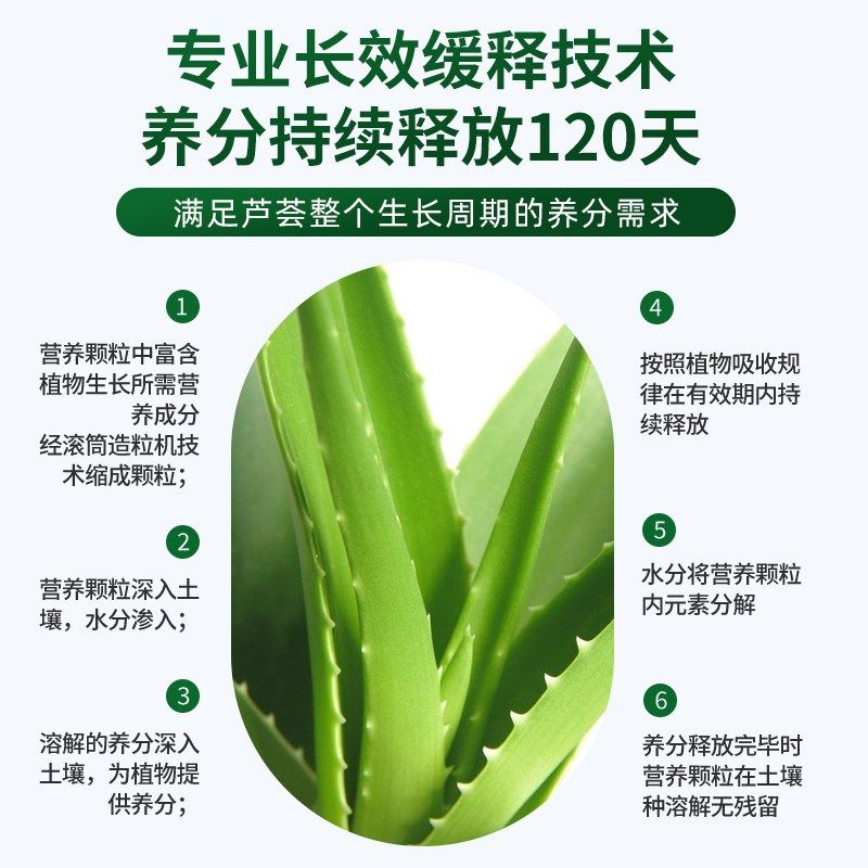 芦荟肥料专用肥花肥盆栽颗粒控释肥叶子发黄复合肥缓释肥专用土,鲜花速递/花卉仿真/绿植园艺,家庭园艺肥料,淘宝优惠券,粉丝福利购,淘宝优惠卷
