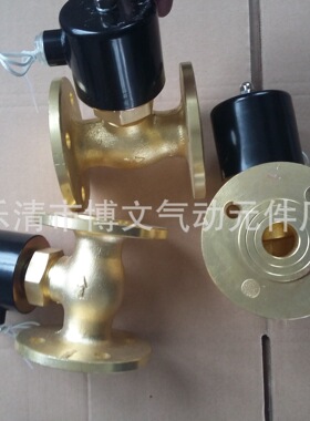 2寸带法兰蒸汽电磁阀 US-50F 法兰 蒸汽阀 US-50 AC220V DC24V