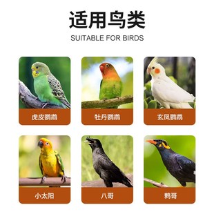 鸟笼子大号家用鹦鹉笼子新型生态别墅大型玄凤八Z哥绣眼鸟笼