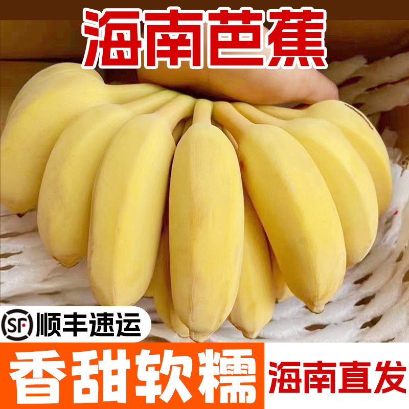 香蕉海南芭蕉新鲜小米蕉粉蕉苹果蕉软糯自然熟三亚特产8斤5斤