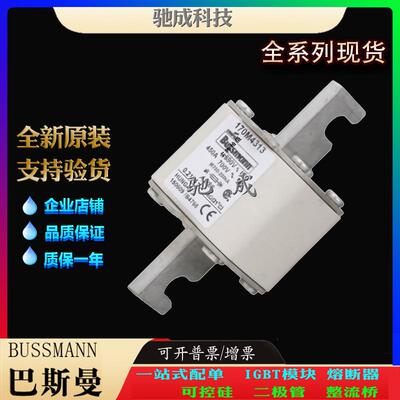 巴斯曼170M4312 170M4313 170M4314 厂价直销优价供应 方体熔断器