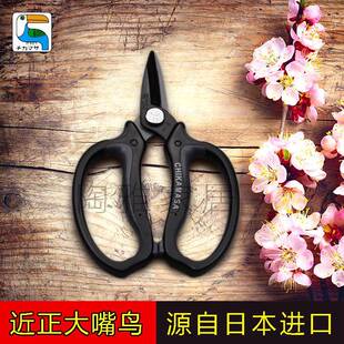 近正 大嘴鸟chikamasa 鲜切花剪 插花剪 花艺大师剪园艺剪刀花道