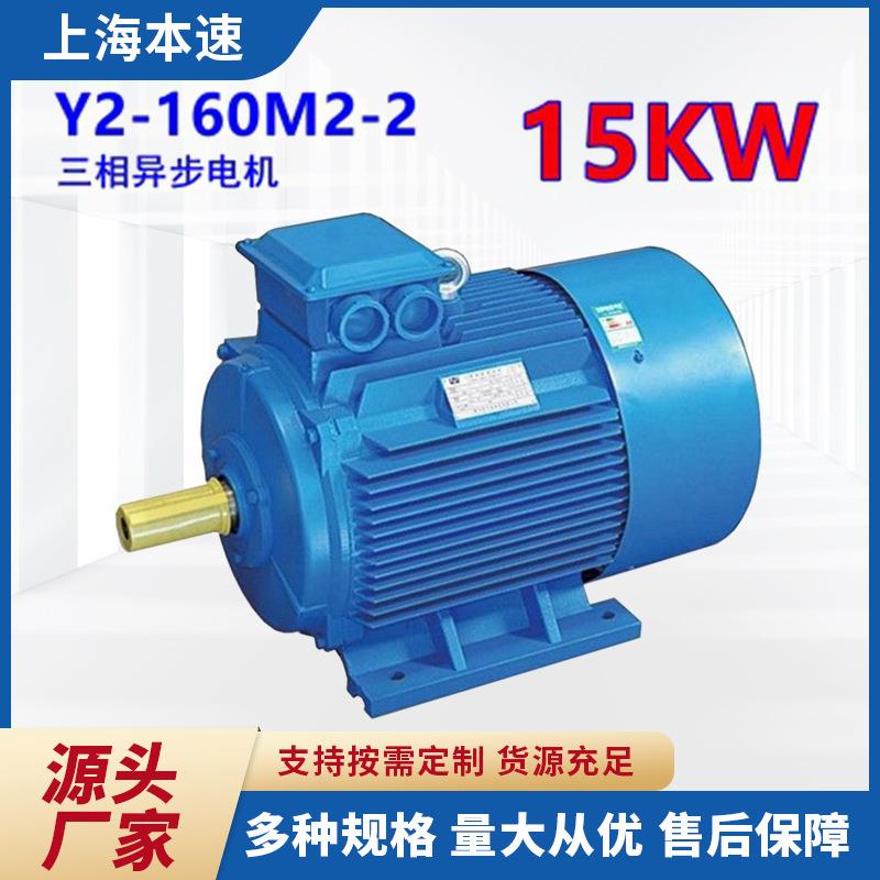 Y2-160M2-2 15KW Y2系列 2极电动推杆潜油机床泵三相电机加工
