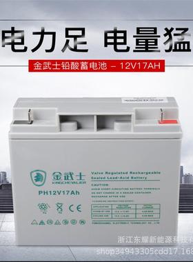 金武士电池12V17AHPH17-12-YA UPS电池免维护铅酸蓄电池机房电池