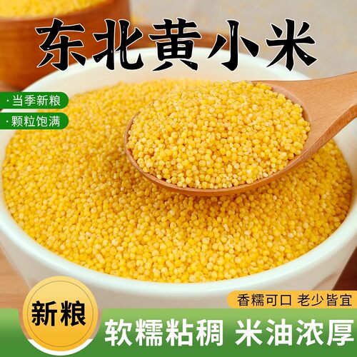 东北黄小米2025新米月子米五谷杂粮米糯小米农家黄米优质小米