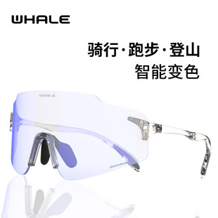 R20骑行护目眼镜近视套镜防雾变色跑步登山男女日夜两用